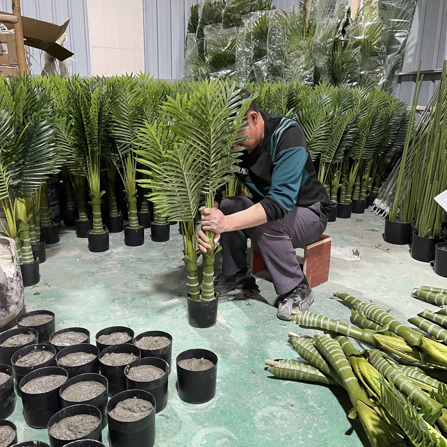 Greenplants factory and plant display