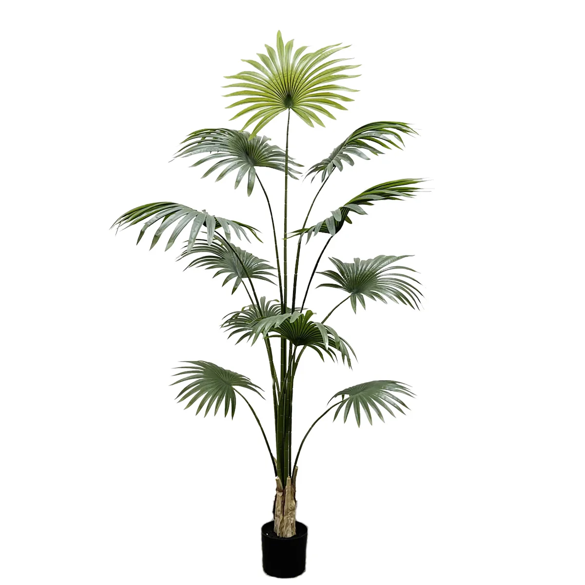 Artificial California fan palm
