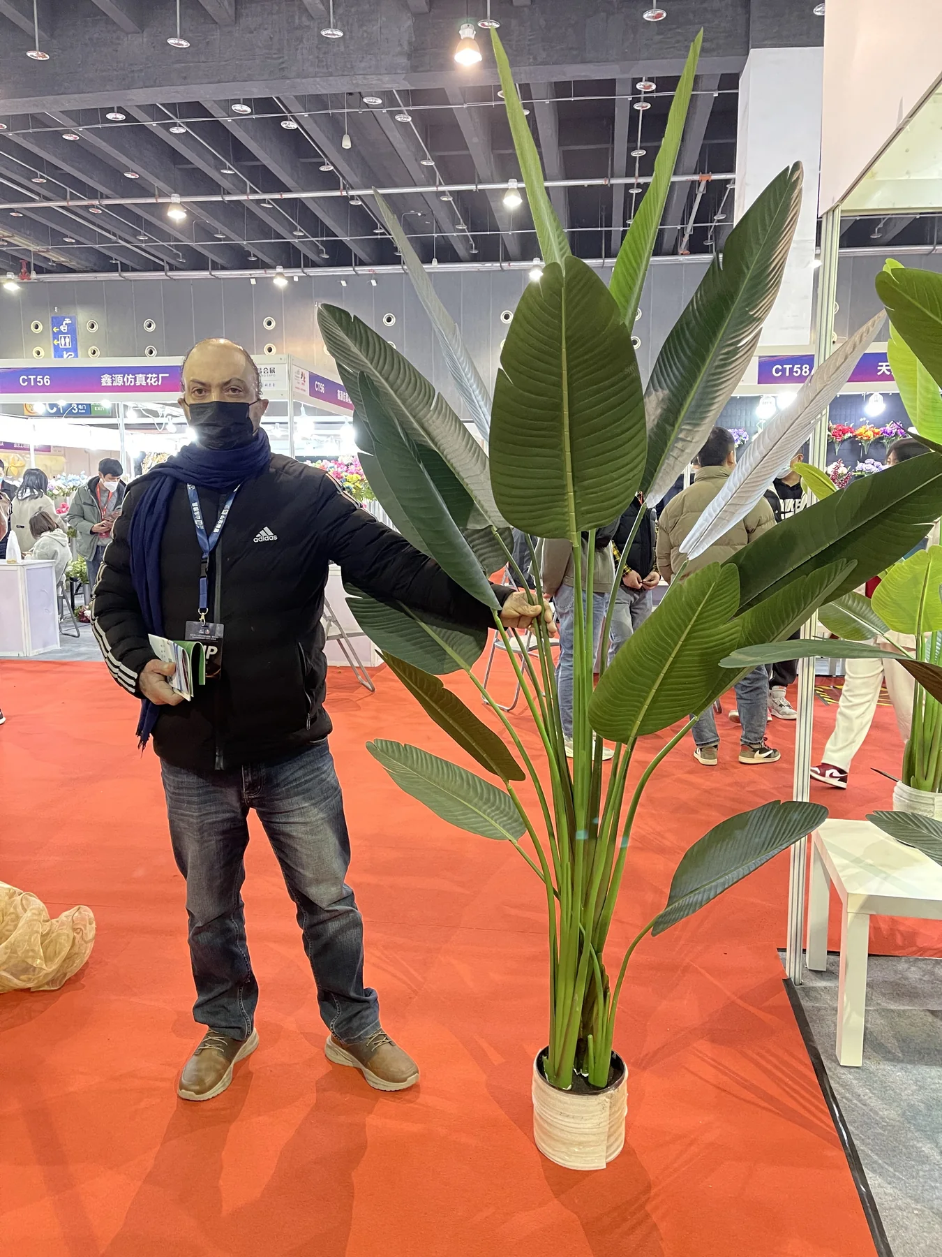 Artificial palm displayed in a retail setting
